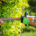 Ratschläge für Gartenarbeiten