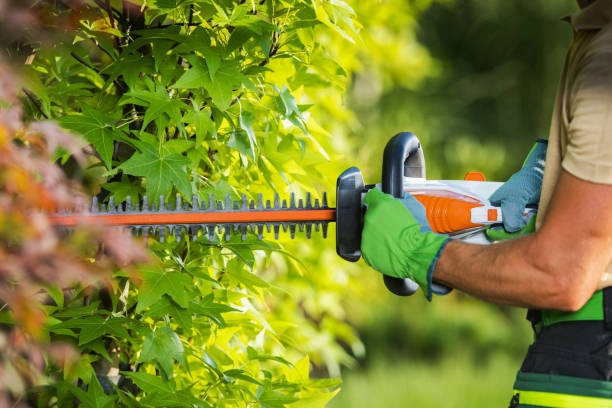 Ratschläge für Gartenarbeiten